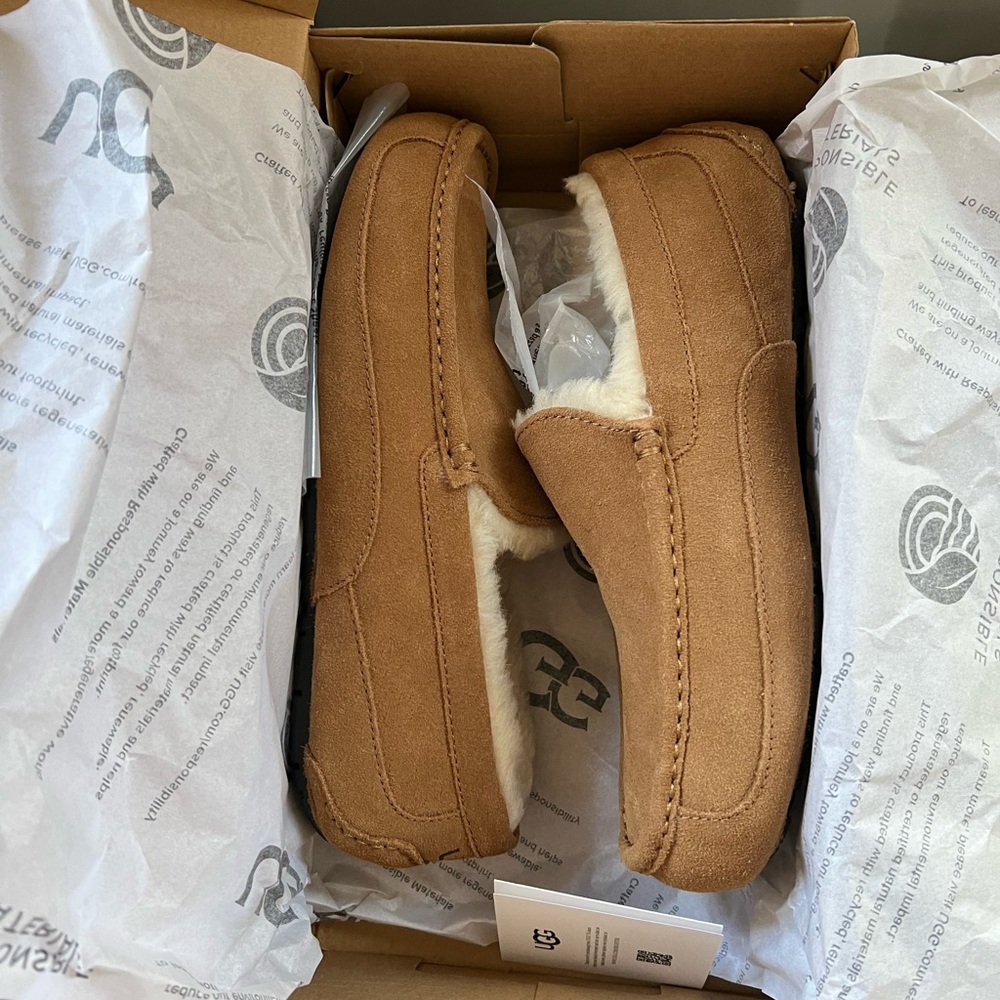 NIB Ugg Ascot Slippers - Men’s size 10 - Classic Chestnut - BRAND NEW IN BOX
